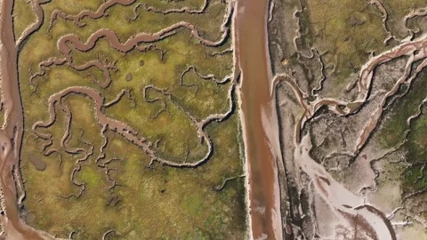 Aerial view of river tyne salt marsh patterns, United Kingdom. Stock Footage 289736576