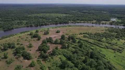 Aerial view of a river in a valley with meadows and trees and a beautiful summer Stock-Footage 220913613