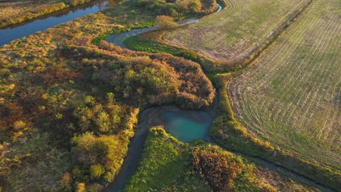 Aerial view of the river in the wild during the fall season 動画素材 165594167