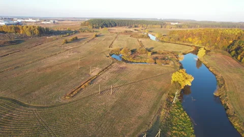 Aerial view of the river in the wild during the fall season Video stock 167058423