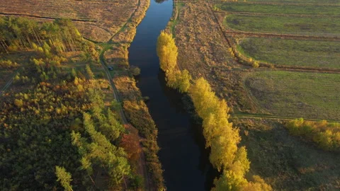 Aerial view of the river in the wild during the fall season Stock-Footage 167058481