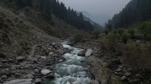 Aerial View of River Winding Through Lush Himalayan Valley Video stock 313382435