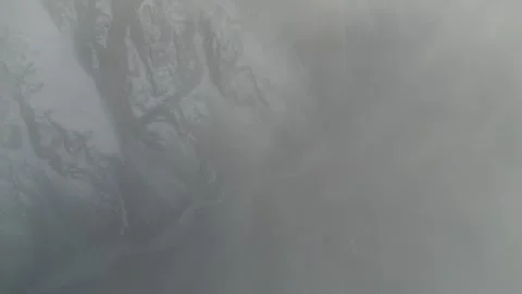 Aerial view of river winding through foggy landscape, camera pans downwards Video stock 319544365
