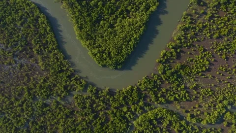 Aerial view of river winding through green trees, Mozambique. Stock Footage 324789765