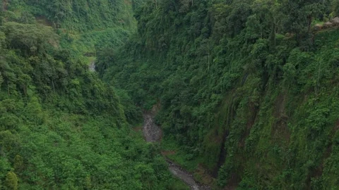 Aerial view of river winding through tropical rainforest canyon Stock Footage 328917169
