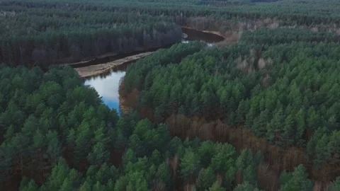 Aerial view of river winding through green pine forest Video stock 333833489