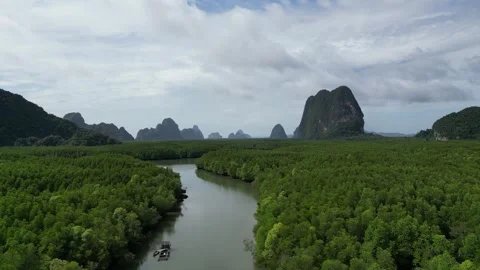 Aerial View of River Winding Through Mangrove Forest and Mountains in Phang Nga, Stock Footage 334623165
