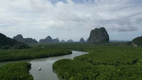 Aerial View of River Winding Through Mangrove Forest and Limestone Mountains in Stock Footage 334623188