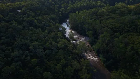 Aerial view of river winding through dense green forest valley Mt Lofty 動画素材 334841535