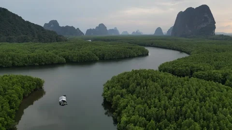 Aerial View of River Winding Through Mangrove Forest in Phang Nga, Thailand Stock Footage 335254453