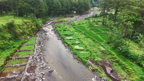 Aerial view of a river winding through lush green fields Stock Footage 335665859