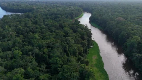 Aerial view of river winding through tortuguero national park jungle 스톡 동영상 339119238