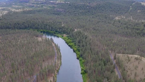 Aerial view of a river winding through dense pine forest near Spokane Stock-Footage 341670945