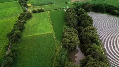 Aerial view of a river winding through crop fields Stock Footage 342062225