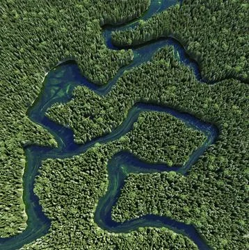 Aerial view of river winding through dense green forest. Illustrazione stock