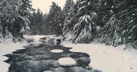 Aerial view of a river in winter Vídeo Stock 124197522