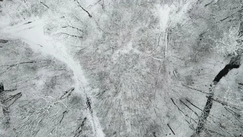 Aerial view of river in winter forest covered with snow. drone 4k video Stock Footage 147650732