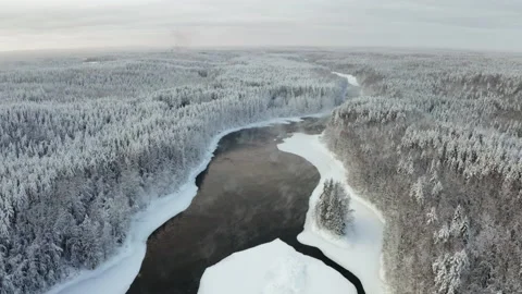 Aerial view of the river into the winter forest Stock Footage 173550103