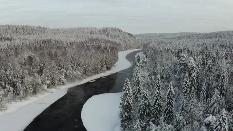 Aerial view of the river into the winter forest Stock Footage 173623468