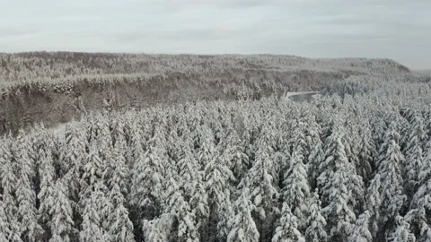 Aerial view of the river into the winter forest Stock Footage 173624434