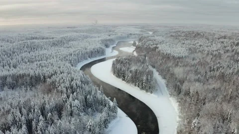 Aerial view of the river into the winter forest Stock Footage 173634620