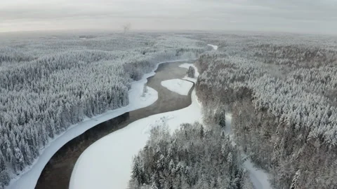Aerial view of the river into the winter forest Stock Footage 173634743