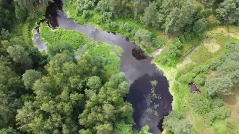 Aerial view of riverbed among forest and greenery vegetation Stock Footage 151944443