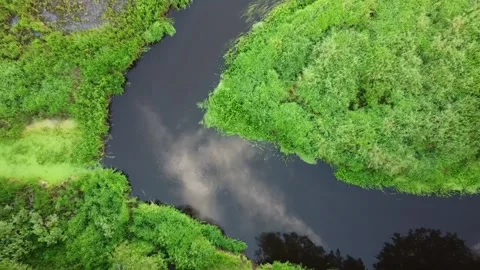 Aerial view of riverbed among forest and greenery vegetation Stock Footage 151944476