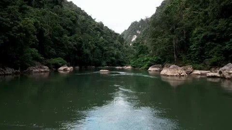Aerial view of rivers that cut's through the tropical rain forest Video stock 266088005