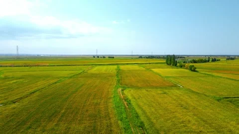 Aerial view of rivers, fields, and plains in autumn Stock Footage 295860727