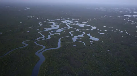 Aerial View of Rivers Running Through Everglades 스톡 동영상 26245001