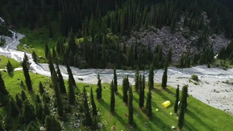  Aerial View of Riverside Base Camp and Tents in Pine Forest Video stock 332204834