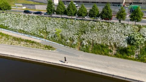 Aerial View of Riverside Jogging Path with Flowers and Trees Stock Photos
