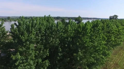 Aerial view of riverside to the river Stock Footage 50756765