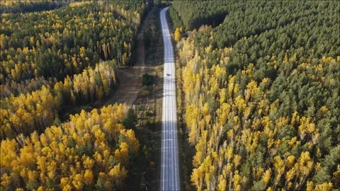 Aerial view of the road along which a car is driving in autumn Video stock 318543281
