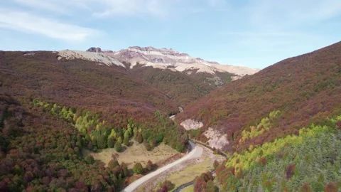 Aerial view of a road in autumn Video stock 320175461