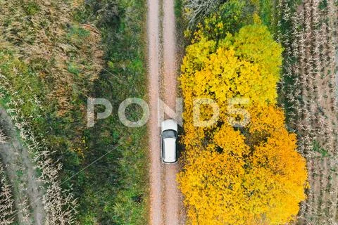 Aerial view of road in autumn forest. Beautiful landscape with rural road, trees Stock Photos