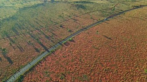 Aerial view of a road in Ayers Rock, Australia. Stock Footage 314703827