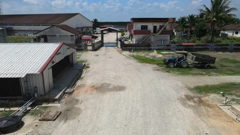Aerial view of road in between breeder farms in Kedah Stock Footage 152597497