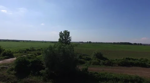 Aerial view of road between corn fields Stock Footage 50756189