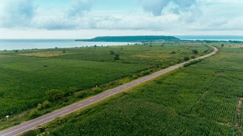 Aerial view of the road between corn field with beautiful beach and sea 스톡 사진