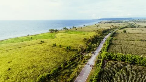 Aerial view of the road between corn field with beautiful beach and sea 스톡 사진