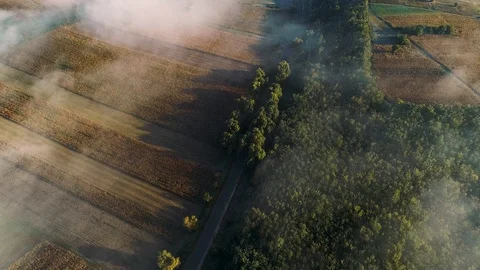 Aerial view of a road between a field and a forest with fog. Stock Footage 113066987