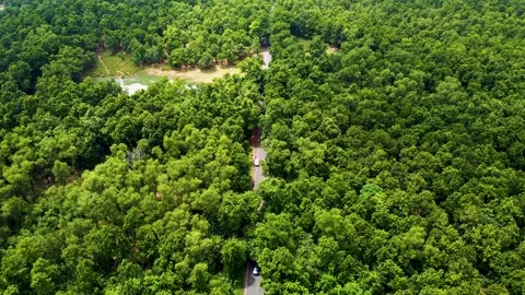 Aerial View of Road between Forest, Drone Video in India Stock Footage 211141074