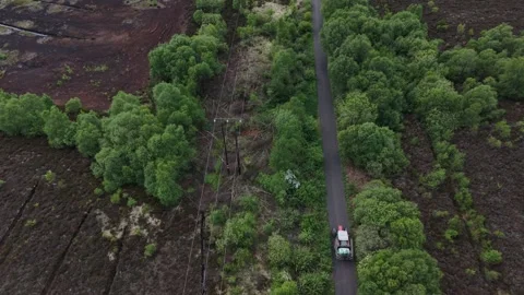 Aerial View of Road Between Forest and Open Land Stock Footage 335621874