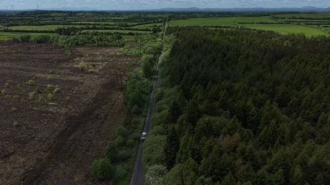 Aerial View of Road Between Forest and Open Land 库存影片 335621946