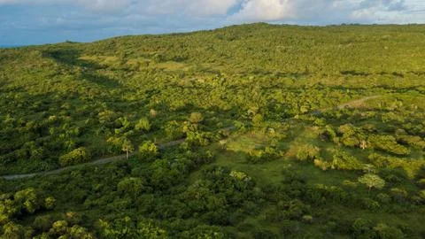 Aerial view of road between forests Stock Photos