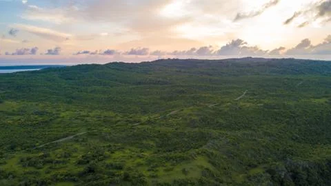 Aerial view of road between forests Stock Photos