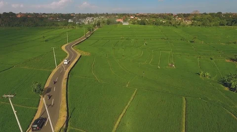 Aerial view of road between rice fields Video stock 87347328