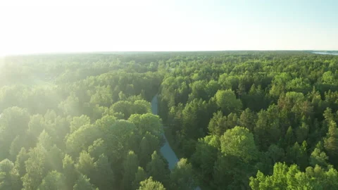Aerial view of road between two forets Stock Footage 133637534